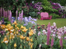 Garden chair and flower garden, Schrieners Iris Gardens, Salem, Oregon, USA.