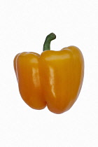 Pepper, Sweet Pepper, Capsicum annuum, Single orange coloured Bell pepper shot in a studio.