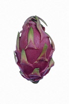 Dragon fruit, Hylocereus undatus, Stgudio shot of purple coloured fruit.