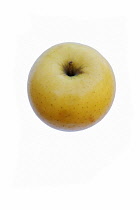 Apple, Golden Delicious apple, Malus domestica 'Golden Delicious', Studio shot of single yellow coloured fruit.