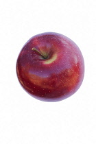 Apple, Malus Domestica cultivar, Studio shot of single red coloured fruit.