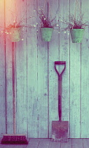 A broom, a spade and three hanging pots of daisies hanging from a gardeners shed.