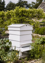 Bee Hive, in kitchen garden.