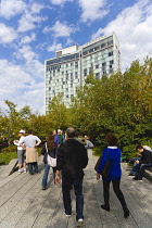 USA, New York, Manhattan, people walking in The Gansevoort Woodland on the High Line a linear park on an elevated disused railroad called the West Side Line. USA, New York State, New York City.