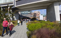 USA, New York, Manhattan, people walking in The Gansevoort Woodland on the High Line a linear park on an elevated disused railroad called the West Side Line. USA, New York State, New York City.