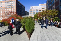 USA, New York, Manhattan, people walking along the Sundeck beside plants in autumn colours leading to the Chelsea Market Passage on the High Line linear park on a disused elevated railroad spur called...