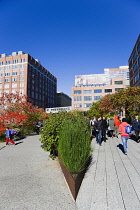 USA, New York, Manhattan, people walking along the Sundeck beside plants in autumn colours leading to the Chelsea Market Passage on the High Line linear park on a disused elevated railroad spur called...