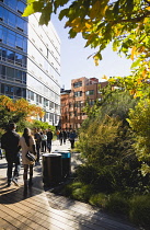 USA, New York, Manhattan, people walking in autumn on the High Line linear park on an elevated disused railroad spur called the West Side Line.  USA, New York State, New York City.