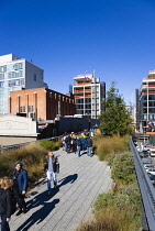 USA, New York, Manhattan, people walking among grasses in the Chelsea Grasslands on the High Line linear park on a disused elevated railroad spur called the West Side. USA, New York State, New York C...