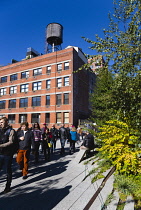 USA< New York, Manhattan, people walking beside small trees in the Chelsea Thicket on the High Line linear park on a disused elevated railroad spur of the West Side Line passing a red brick factory wa...
