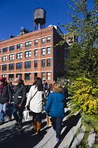 USA< New York, Manhattan, people walking beside small trees in the Chelsea Thicket on the High Line linear park on a disused elevated railroad spur of the West Side Line passing a red brick factory wa...