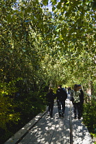 USA, New York, Manhattan, people walking under small trees in the Chelsea Thicket on the High Line linear park on a disused elevated railroad spur of the West Side Line. USA, New York State, New York...