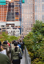 USA, New York, Manhattan, people walking towards the Wildflower Field on the High Line linear park on a disused elevated railroad spur called the West Side Line running between high rise buildings in...