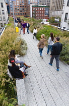 USA, New York, Manhattan, people walking through the Wildflower Field on the High Line linear park on a disused elevated railroad spur called the West Side Line running between high rise buildings in Midtown. USA, New York State, New York City.