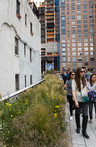 USA, New York, Manhattan, people walking through the Wildflower Field on the High Line linear park on a disused elevated railroad spur called the West Side Line running between high rise buildings in...