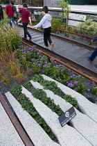 USA, New York, Manhattan, people walking among plants and old rails on the High Line linear park on an elevated disused railroad spur called The West Side Line beside the Hudson Rail Yards. USA, New...