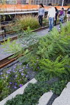 USA, New York, Manhattan, people walking among plants and old rails on the High Line linear park on an elevated disused railroad spur called The West Side Line beside the Hudson Rail Yards. USA, New...