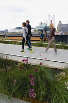 USA, New York, Manhattan, people walking among plants on the High Line linear park on an elevated disused railroad spur called The West Side Line beside the Hudson Rail Yards. USA, New York State, Ne...