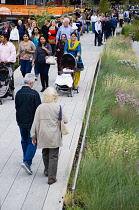 USA, New York, Manhattan, people walking among plants on the High Line linear park on an elevated disused railroad spur called The West Side Line beside the Hudson Rail Yards. USA, New York State, Ne...