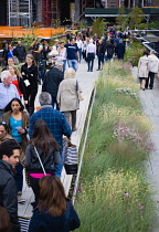 USA, New York, Manhattan, people walking among plants on the High Line linear park on an elevated disused railroad spur called The West Side Line beside the Hudson Rail Yards. USA, New York State, Ne...