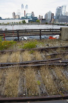 USA, New York, Manhattan, wild plant area and original rails of the disused elevated West Side Line railroad making the High Line linear park beside the Hudson Rail Yards with trains at the north end...