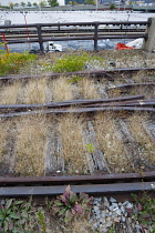 USA, New York, Manhattan, wild plant area and original rails of the disused elevated West Side Line railroad making the High Line linear park beside the Hudson Rail Yards with trains at the north end...