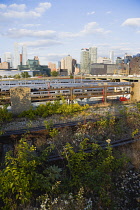 USA, New York, Manhattan, wild plant area and original rails of the disused elevated West Side Line railroad making the High Line linear park beside the Hudson Rail Yards with trains at the north end...