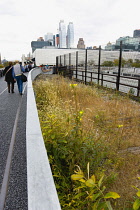 USA, New York, Manhattan, wild plant area and original rails of the disused elevated West Side Line railroad making the High Line linear park beside the Hudson Rail Yards with trains at the north end...