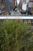 USA, New York, Manhattan, the Wildflower Field on the High Line linear park on a disused elevated railroad spur called the West Side Line crossing West 27th Street below in Midtown. USA, New York Sta...