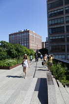 USA, New York State, New York City, Manhattan, The High Line public park on disused elevated railway track in the meat packing district. USA, New York State, New York City.