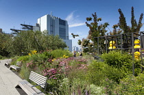 USA, New York State, New York City, Manhattan, The High Line public park on disused elevated railway track in the meat packing district. USA, New York State, New York City.