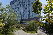 USA, New York State, New York City, Manhattan, The High Line public park on disused elevated railway track in the meat packing district. USA, New York State, New York City.