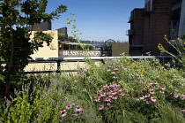 USA, New York State, New York City, Manhattan, The High Line public park on disused elevated railway track in the meat packing district. USA, New York State, New York City.