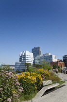 USA, New York State, New York City, Manhattan, The High Line public park on disused elevated railway track in the meat packing district. USA, New York State, New York City.