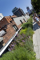 USA, New York State, New York City, Manhattan, The High Line public park on disused elevated railway track in the meat packing district. USA, New York State, New York City.