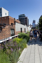 USA, New York State, New York City, Manhattan, The High Line public park on disused elevated railway track in the meat packing district. USA, New York State, New York City.