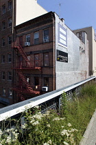 USA, New York State, New York City, Manhattan, The High Line public park on disused elevated railway track in the meat packing district. USA, New York State, New York City.