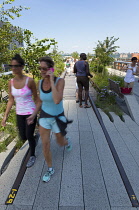 USA, New York State, New York City, Manhattan, The High Line public park on disused elevated railway track in the meat packing district. USA, New York State, New York City.