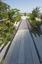 USA, New York State, New York City, Manhattan, The High Line public park on disused elevated railway track in the meat packing district. USA, New York State, New York City.