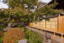 Shinagawa, Buildings and garden inside the zen Tokai-ji temple, Japanese architecture, wood, maple leaves. Tokyo Honshu