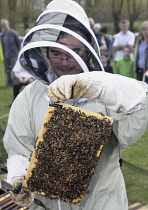 Beekeeper at Honey Bee Fayre, Yalding.