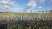 England, East Sussex, View over the Pevensey Levels.