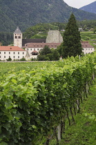 Italy, Trentino Alto Adige, Bressanone, Novella Monastery, vineyards & monastery.