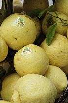 Italy, Lombardy, Lake Garda, Limone Rivera, lemons from Limone.