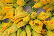 Italy, Veneto, Venice, zucchini flowers, Rialto market.