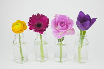 Studio shot of cut flowers in glass bottle. Plants