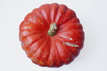 Studio shot of various pumpkins. Food Plants