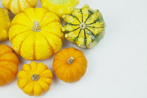 Studio shot of various pumpkins. Food Plants