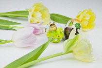 Studio shot of tulip flowers with painted eggs for Easter. Plants