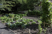 England, County Durham, Beamish, Typical 1940's Wartime Allotment garden.